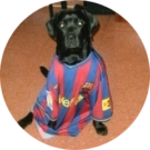 Jordi Tomas Avatar